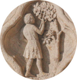 La pommeraie 80
